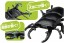 TAKARA TOMY Ania AS-41 Flatback Stag Beetle, TAK10375, by TAKARA TOMY