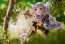 Good Smile Company 1/7 Princess Connect! Re: Dive Kyoka Figure, GSC45851, by GOOD SMILE COMPANY