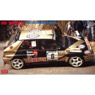 Hasegawa 1/24 Hasegawa Limited Series ESSO SUPER DELTA '93 ECR PIANCAVALLO WINNER  , HAS04027, by HASEGAWA