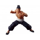 Bandai S.H.Figuarts Aoi Todo, BAC51587, by BANDAI