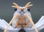 Fujimi CREATURE ARC PROCAMBARUS CLARKII (WHITE)  , FUJ70886, by FUJIMI