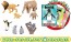TAKARA TOMY Ania Animal Parent and Child Hatena Card Set, TAK30464, by TAKARA TOMY