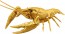 Fujimi Jiyuu Kenkyuu Series No.24 EX-5 Living Things Part Red Swamp Crayfish Special Design (Gold)  , FUJ71081, by FUJIMI