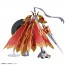 Bandai Figure-rise Standard Amplified Dukemon , BAN16692, by BANDAI