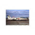 Platz 1/48 Japan Air Self-Defense Force F-104J Starfighter Glory 1984 20th Anniversary Painting of the 204th Squadron, PLZ26235, by PLATZ
