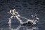 Kotobukiya 1/24 HEXA GEAR Governor LAT Solid (Cradle), KBY39692, by KOTOBUKIYA