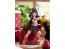 Good Smile Company POP UP PARADE Komekko L Size (Kono Subarashii Sekai Ni Bakuen Wo!), GSC95479, by GOOD SMILE COMPANY