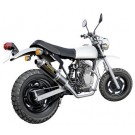 Aoshima 1/12 Naked Bikes 58 Honda Ape 50 Yoshimura plastic kit , AOS48986, by AOSHIMA