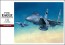 Hasegawa 1/48 F-15C Eagle plastic kit  , HAS72497, by HASEGAWA