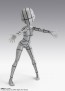 Bandai S.H.Figuarts Body-chan -Ken Sugimori- Edition -Wireframe- (Gray Color Ver.), BAC98360, by BANDAI