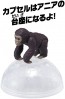 TAKARA TOMY Ania AC-03 Gorilla (Child), TAK06132, by TAKARA TOMY