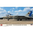 Hasegawa 1/72 F-14D Tomcat "VF-213 Black Lions Last Cruise", HAS24069, by HASEGAWA