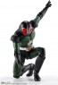 Bandai S.H.Figuarts (SHINKOCCHOU SEIHOU) Kamen Rider Black RX, BAC98452, by BANDAI