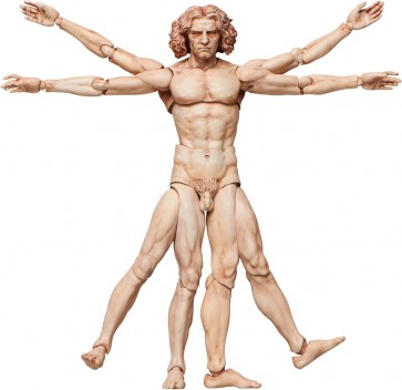 FREEing figma Vitruvian Man (The Table Museum) (Rerelease), FRE13954, by FREEING
