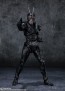 Bandai S.H.Figuarts Kamen Rider BLACK SUN, BAC33309, by BANDAI