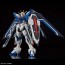 Bandai 1/144 HG Rising Freedom Gundam [Gundam Seed Freedom], BAN62842, by BANDAI