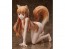 FREEing 1/4 Spice and Wolf: Holo (Rerelease), FRE14456, by FREEING