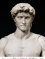 FREEing figma David (Michelangelo) (Reissue), FRE13947, by FREEING