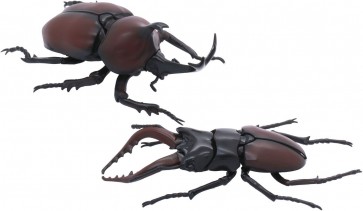 Fujimi LIVING THING ARC STAG BEETLE VS. JAPANESE RHINOCEROS BEETLE DUEL SET  , FUJ70862, by FUJIMI