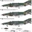 Fine Molds 1/72 Aircraft JASDF RF-4EJ Reconnaissance Aircraft  , FIN20423, by Fine Molds