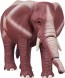 TAKARA TOMY Ania Adventure Continent Ania Kingdom Elefa (African elephant), TAK99936, by TAKARA TOMY