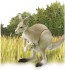 TAKARA TOMY Ania AS-21 Eastern Gray Kangaroo, TAK79702, by TAKARA TOMY