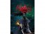 Good Smile Company POP UP PARADE SP Nutcracker Witch (Puella Magi Madoka Magica The Movie -Rebellion-), GSC80437, by GOOD SMILE COMPANY
