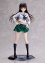Wave 1/7 Dream Tech Shiho Nishizumi [Oarai Girl] (Girls und Panzer: Great Tankery Operation!), WAV11928, by WAVE
