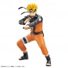 Bandai Entry Grade Uzumaki Naruto (Naruto Shippuden), BAN51198, by BANDAI
