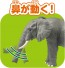 TAKARA TOMY Ania AL-26 African Elephant, TAK19377, by TAKARA TOMY