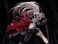 Good Smile Company 1/7 Punishing: Gray Raven: Lucia: Crimson Weave, GSC03952, by GOOD SMILE COMPANY