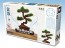 Platz 1/12 The Bonsai Plastic Model Kit 4 , PLZ41415,