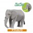 TAKARATOMY Ania AA-01 Animals of savanna Gift set , TAK99964, by TAKARATOMY