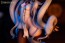 Good Smile Company 1/7 SSR FIGURE Yi Ren Guan - House of Unhumans Liu Qi, GSC29783, by GOOD SMILE COMPANY