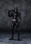 Bandai S.H.Figuarts Kamen Rider BLACK SUN, BAC33309, by BANDAI