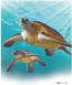 TAKARA TOMY ANIA AS-20 GREEN SEA TURTLE FAMILY (FLOATING VER.)  , TAK37610, by TAKARA TOMY