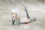 Kotobukiya 1/1 Megami Device B1R-M Chassis Kit Skin Color A, KBY40698, by KOTOBUKIYA