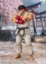 Bandai S.H.Figuarts Ryu -Outfit 2-, BAC60428, by BANDAI