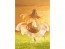 Good Smile Company POP UP PARADE Holo: Abundant Harvest Ver. L Size (Spice and Wolf: Merchant Meets the Wise Wolf), GSC64487, by GOOD SMILE COMPANY