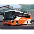 Fujimi 1/32 Sight Seeing Bus Series No.005 Hino Selega Super High Decker (Tokyo Airport Transportation Service Airport Limousine Bus Specification), FUJ12063, by FUJIMI