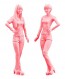Hasegawa 1/24 COMPANION GIRLS FIGURES  , HAS91058, by HASEGAWA