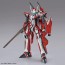 Bandai 1/100 HG YF-29 Durandal Valkyrie (Saotome Alto Machine) Macross Frontier, BAN54205, by BANDAI