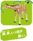 TAKARA TOMY Ania AL-30 Giraffe (Reticulated Giraffe), TAK19360, by TAKARA TOMY