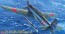 Hasegawa  1/48 Nakajima B6N2 aboard attack aircraft Tianshan 12-inch , HASJT61, by HASEGAWA