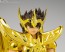 Bandai Saint Seiya Myth Cloth EX Sagittarius Seiya -Successor of the Gold Cloth-, BAC64662, by BANDAI