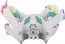 TAKARA TOMY Monster Collection ML-27 White Zygarde (Perfect Form), TAK96405, by TAKARA TOMY