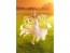 Good Smile Company POP UP PARADE Holo: Abundant Harvest Ver. L Size (Spice and Wolf: Merchant Meets the Wise Wolf), GSC64487, by GOOD SMILE COMPANY