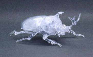 Fujimi Jiyuu Kenkyuu Series No.21 EX-1 Living Thing Rhinoceros Beetle Special Design (Clear)  , FUJ71043, by FUJIMI