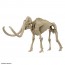 Bandai Exploring Lab Nature Mammoth, BAN21795, by BANDAI