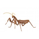 Fujimi LIVING THING ARC TENODERA ARIDIFOLIA (BROWN)  , FUJ70978, by FUJIMI